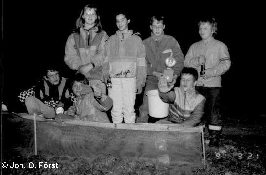 Krtenaktion 1991: Die ersten Amphibienschtzer des Kaiser-Heinrich-Gymnasiums Bamberg