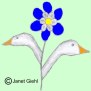 Gnseschmalzblume
