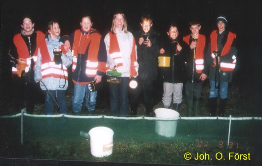 Amphibien-Webteam bei der Kr�tenaktion
