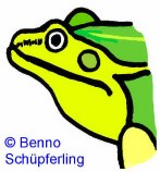 Gr�nfrosch: Kopf
