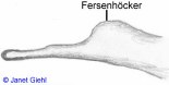 Springfrosch: Fersenh�cker